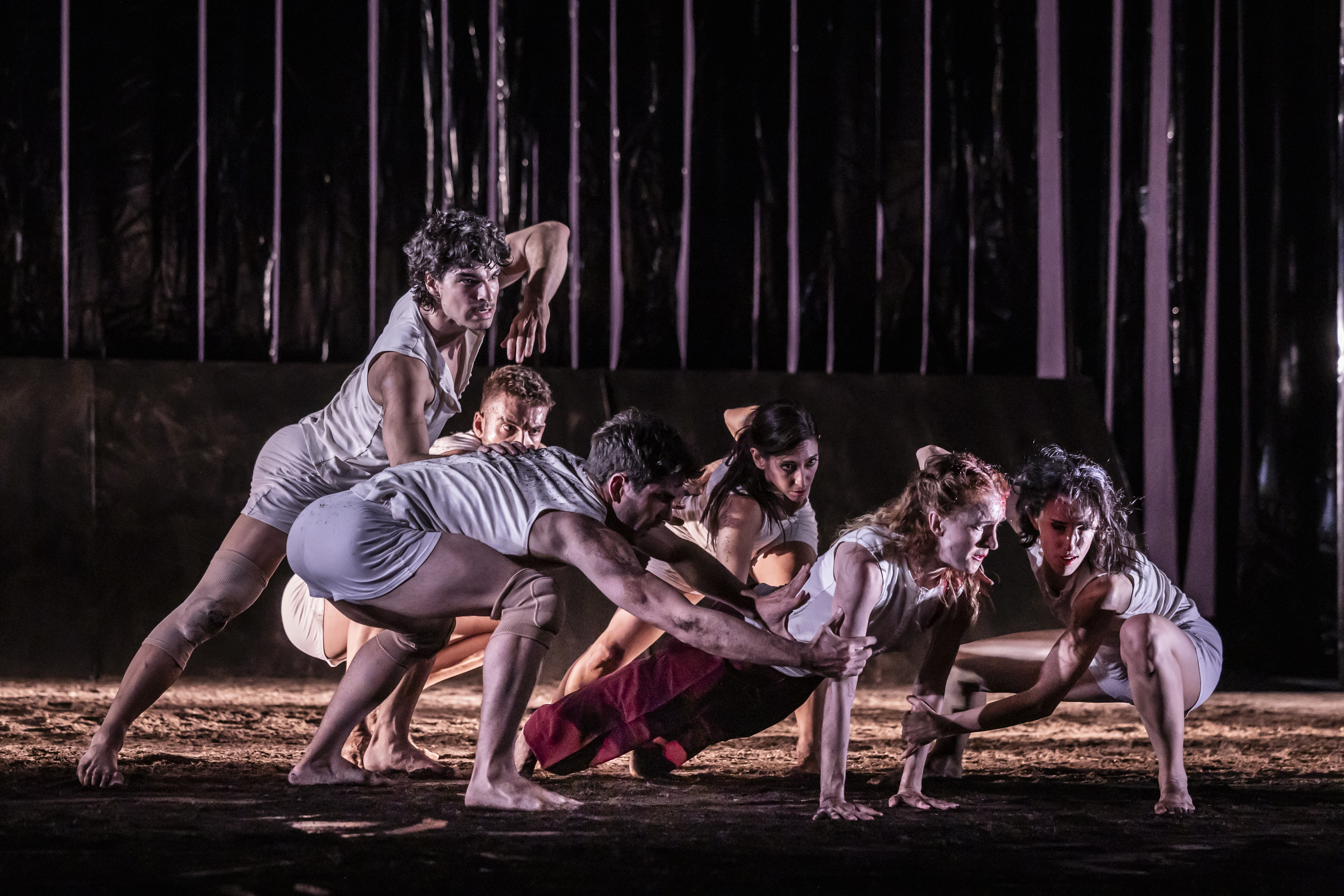 inner symphonies >< SACRE | Tanzabend von Georg Reischl und Olaf Schmidt Theater Lüneburg, Foto: Jochen Quast