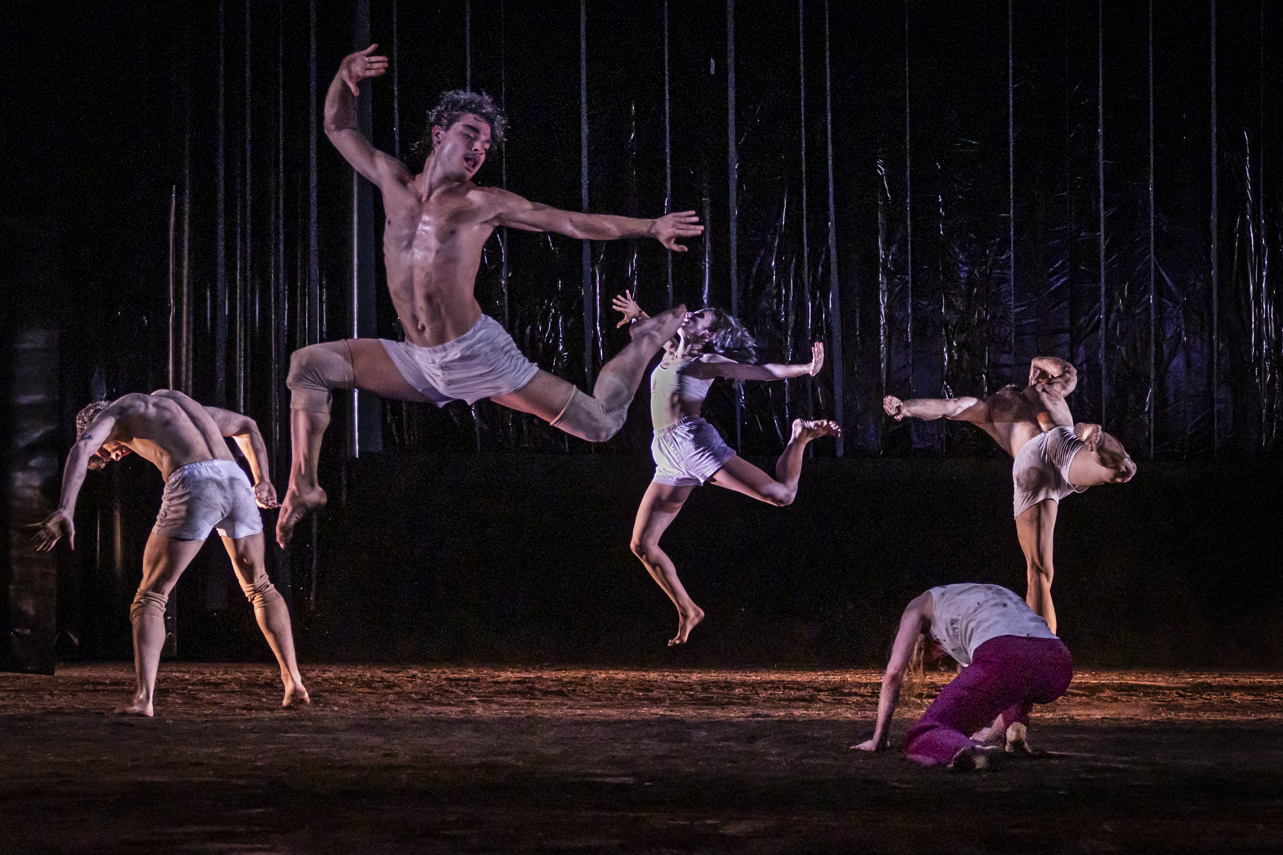 inner symphonies >< SACRE | Tanzabend von Georg Reischl und Olaf Schmidt Theater Lüneburg, Foto: Jochen Quast