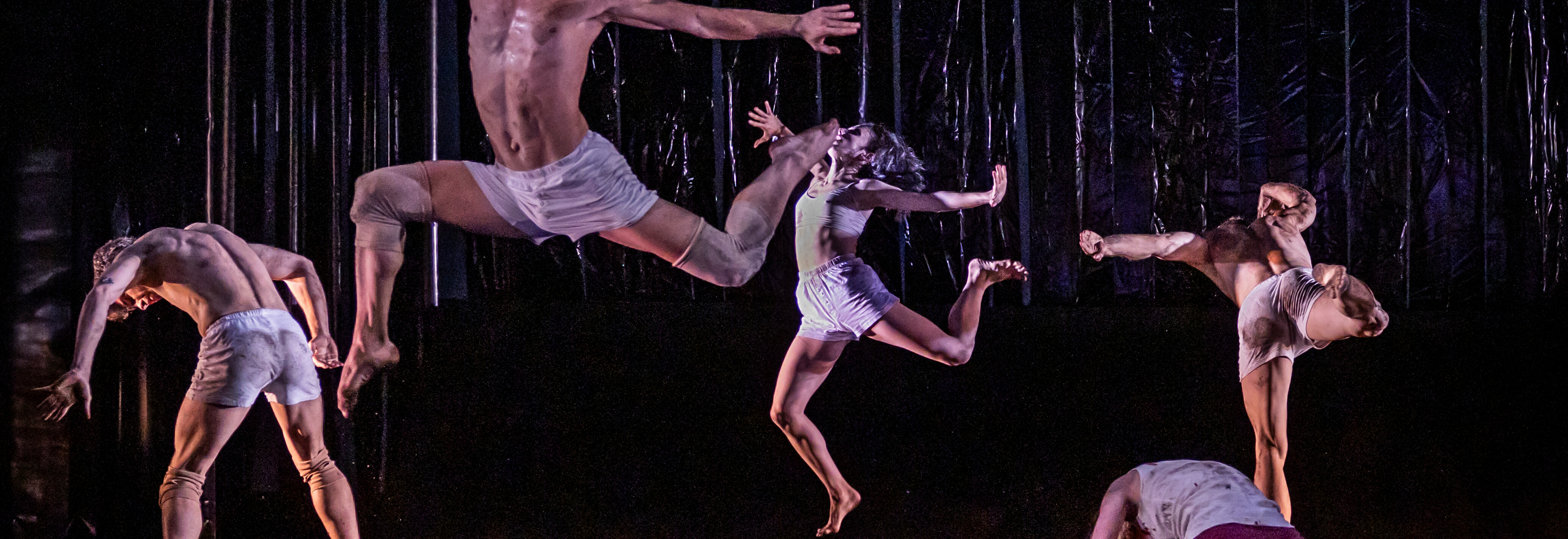 inner symphonies >< SACRE | Tanzabend von Georg Reischl und Olaf Schmidt Theater Lüneburg, Foto: Jochen Quast