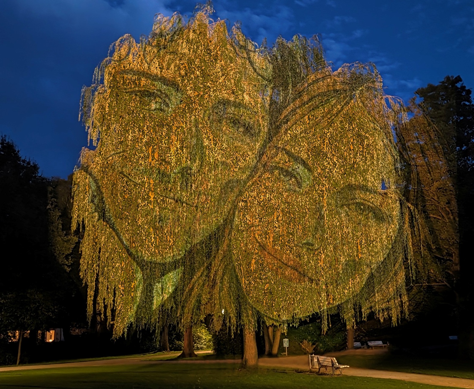 Gregor MEin Mann und enie Frau auf einen Baum projiziert bei Nacht Foto: Sebsatian Gottheitüller | Plakatmotiv Ein Sommernachtstraum, Foto: Jochen Quast Ein Mann und enie Frau auf einen Baum projiziert bei Nacht Foto: Sebsatian Gottheit